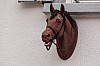 IMG_5437 - (c) k eutebach.jpg